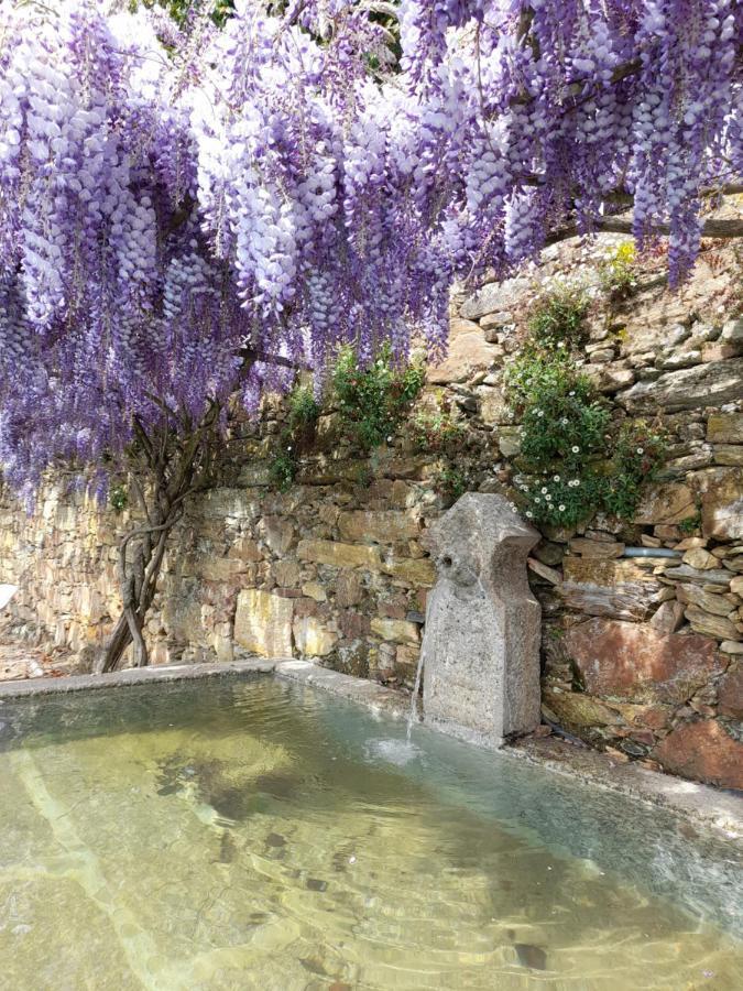 Quinta Das Aranhas Villa Castelo de Paiva Kültér fotó